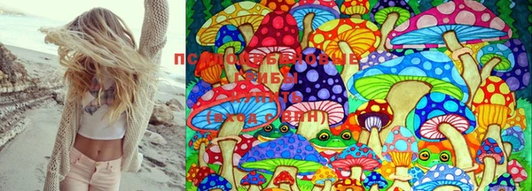 гашишное масло Мегион