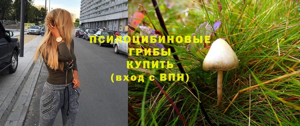 МДМА Медвежьегорск