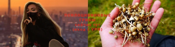 МДМА Медвежьегорск