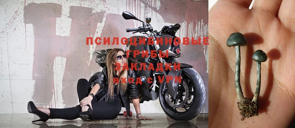 дурь Михайловск