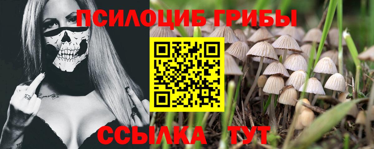 Галлюциногенные грибы Psilocybine cubensis  Псилоцибиновые грибы MAGIC MUSHROOMS  Вход с VPN  Усть-Кут 