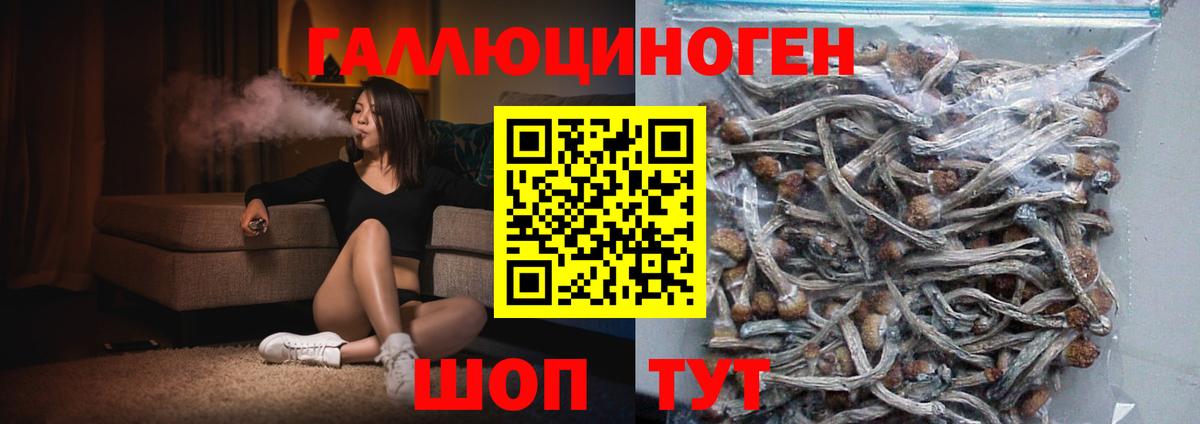 Псилоцибиновые грибы Magic Shrooms Усть-Кут